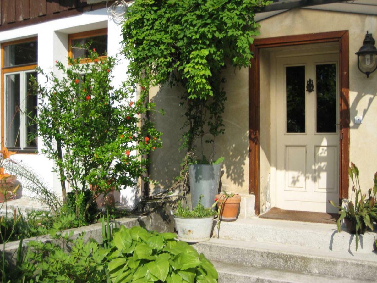 Mala Kmetija Bed & Breakfast Slovenske Konjice Luaran gambar